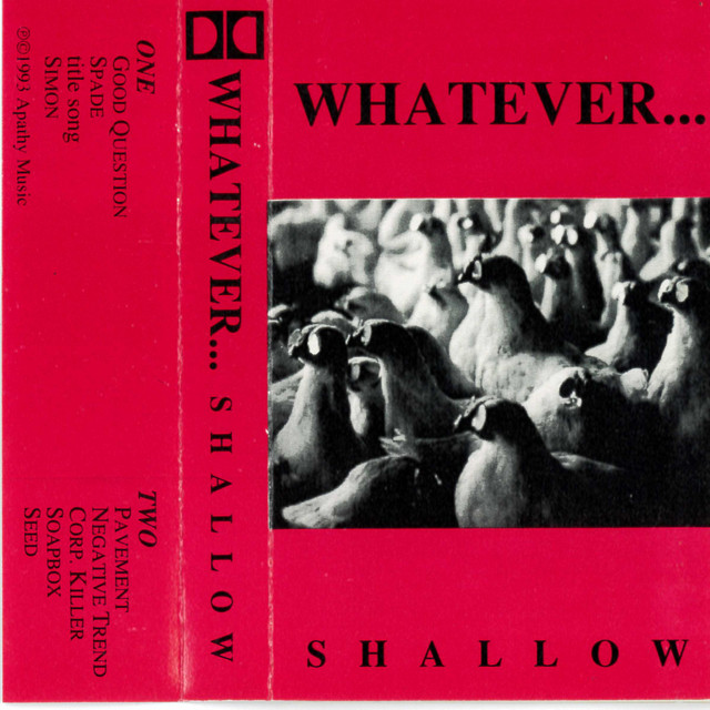 Shallow cover art