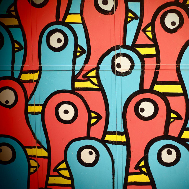 Yoga Birds cover art
