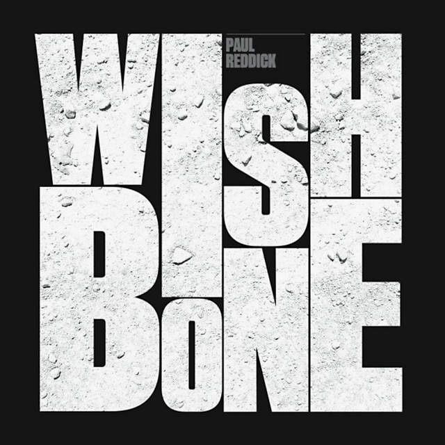 Wishbone cover
