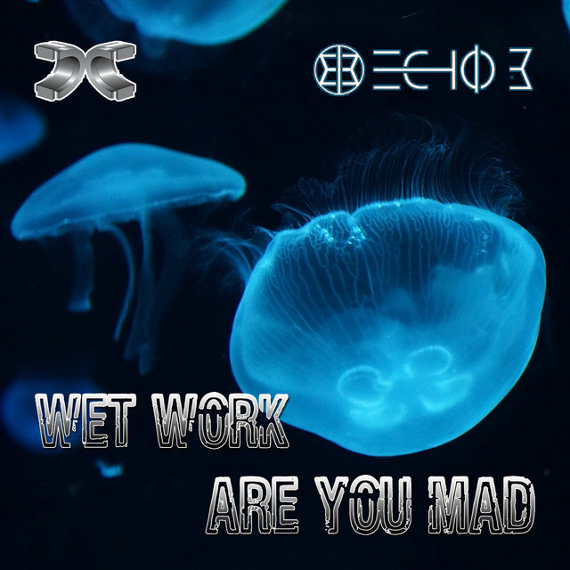 Wet Work / Are You Mad cover art