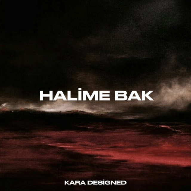 Halime Bak cover art