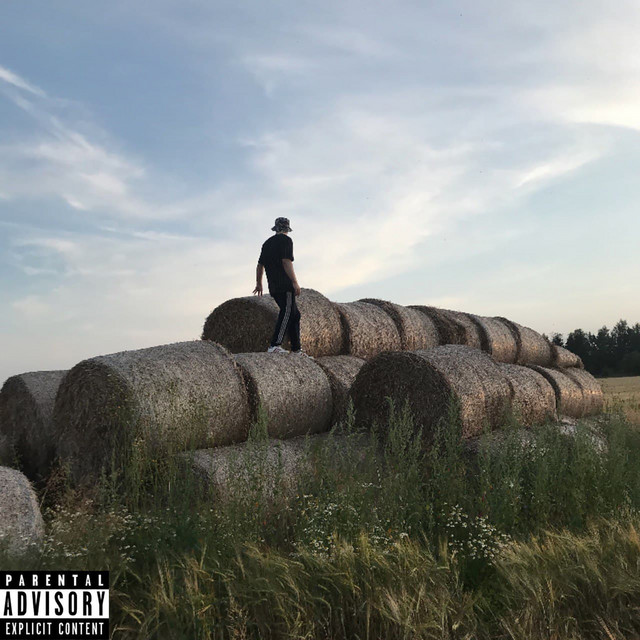 На низком (Deluxe) cover art