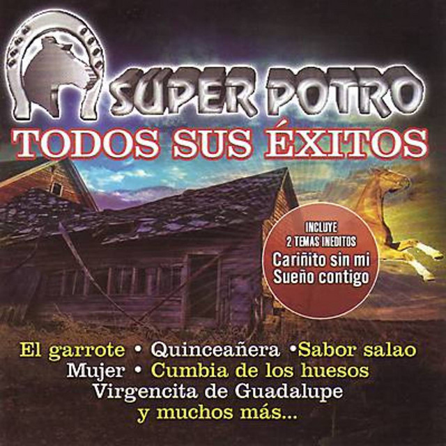 Todos Sus Exitos cover art