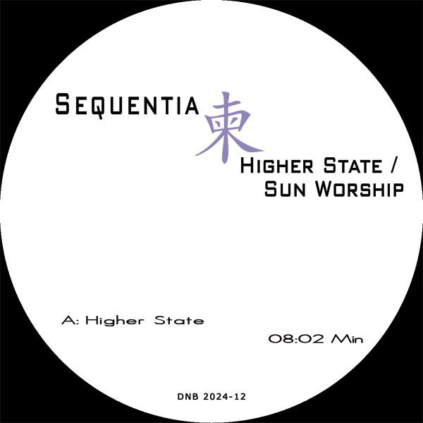Higher State/Sun Worship cover art