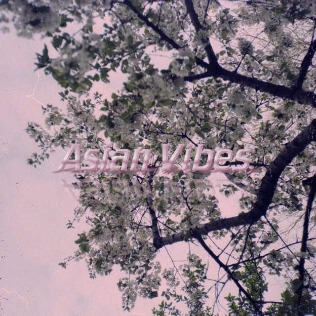 Asian Vibes cover art