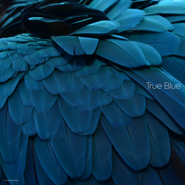 True Blue cover art