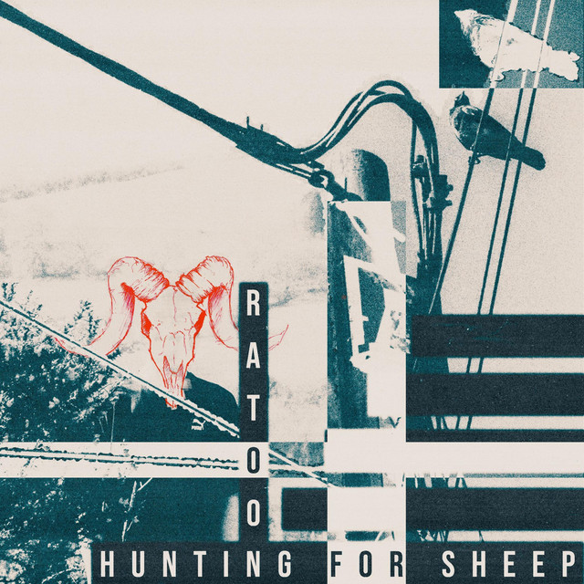Hunting For Sheep cover art