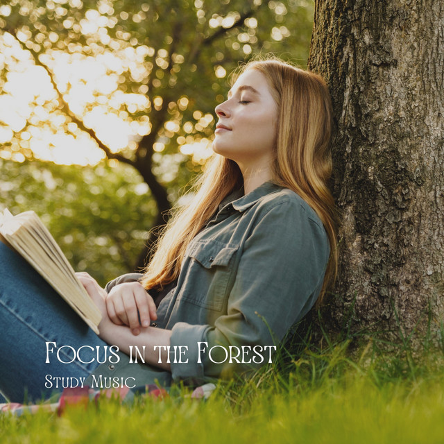 Focus in the Forest: Study Music cover art