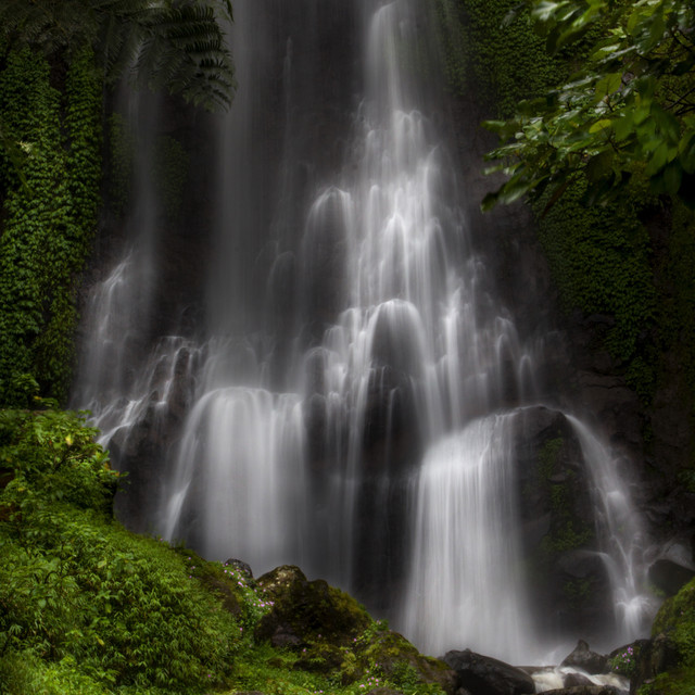 Tale of Relaxation | Reflexology, Forest Relaxation, cover art