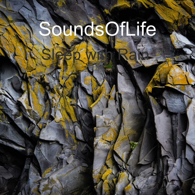 Sound Photo
