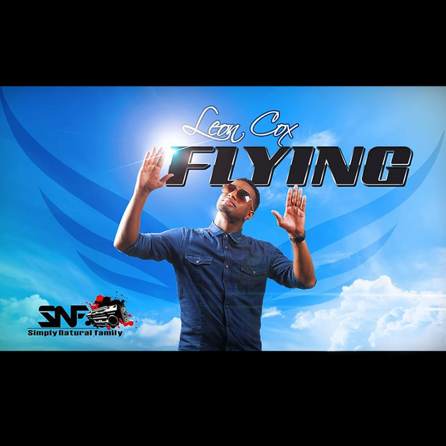 Flying cover