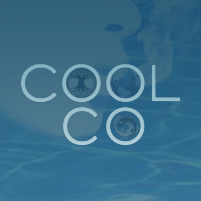 Cool Company cover art