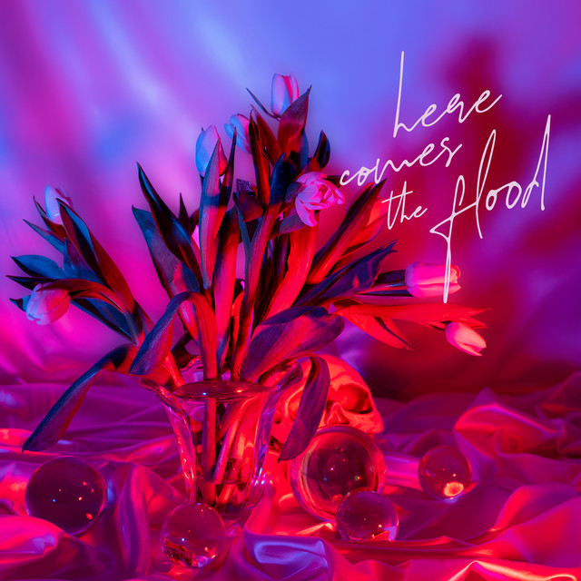 Hammer cover art