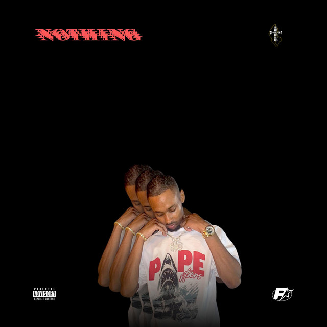 Nothing cover