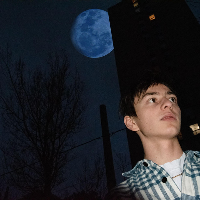 Ms. Luna cover art