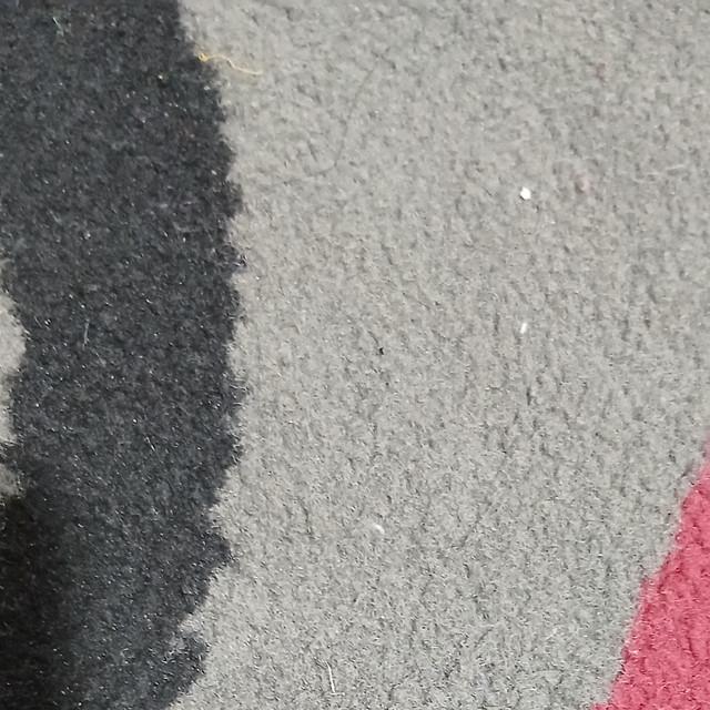 Dike
