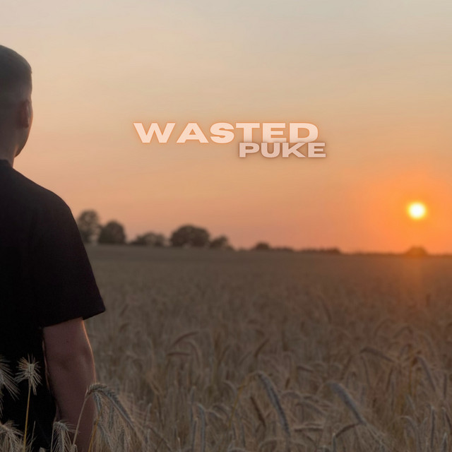 Wasted cover art