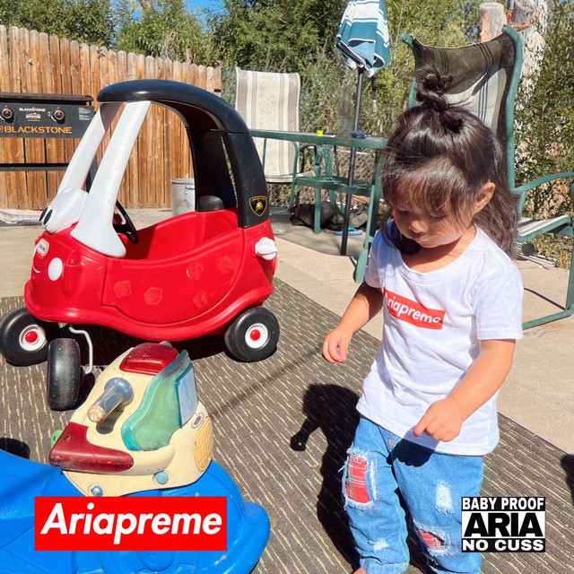 Ariapreme cover art