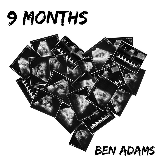 9 Months cover art
