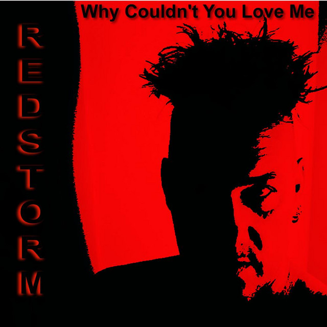 Why Couldn't You Love Me - Single cover