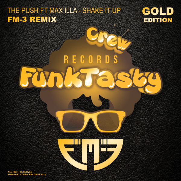 Shake It Up - FM-3 Remix album art