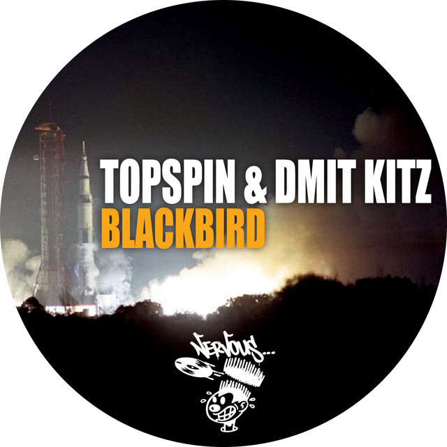 Обкладинка: Blackbird - Original Mix — Topspin