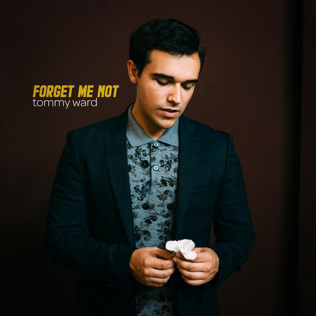 Forget Me Not cover art