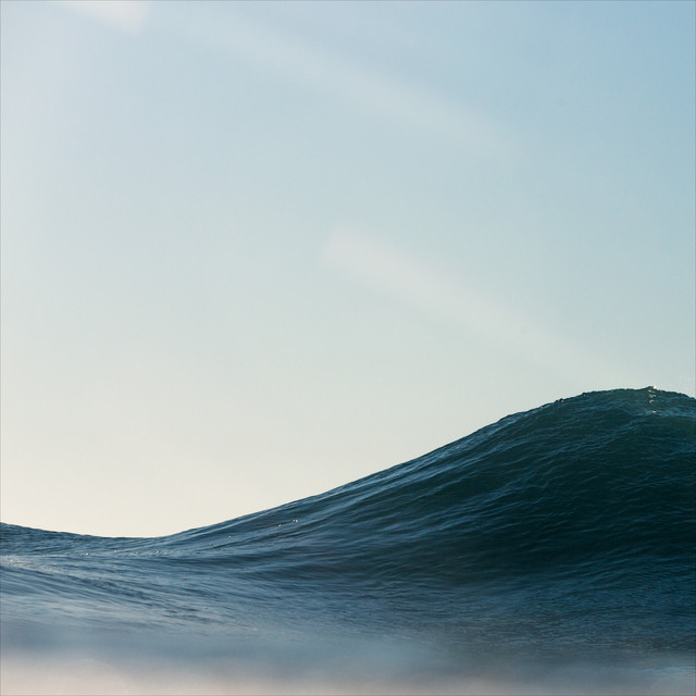 Open Water cover