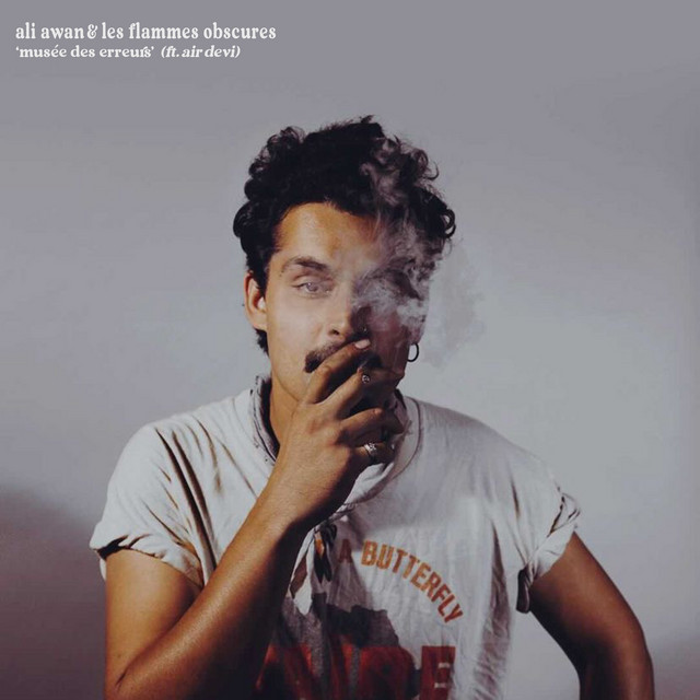 Musée Des Erreurs cover