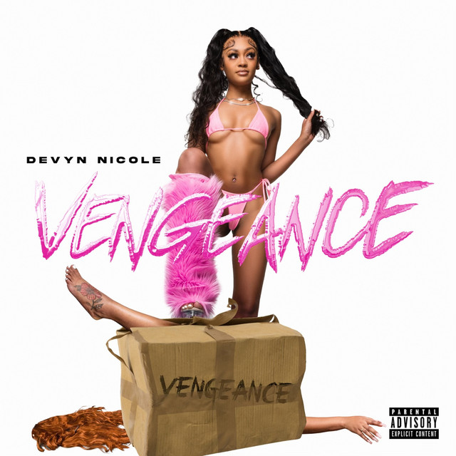 Vengeance cover art