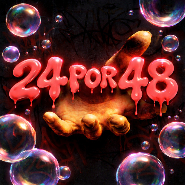24 por 48