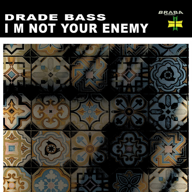 I m Not Your Enemy