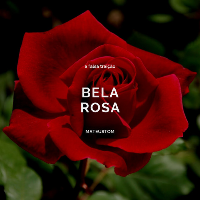 Bela Rosa