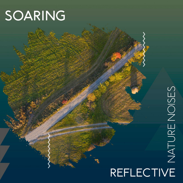 zZz Soaring Reflective Nature Noises zZz - Album by Nature Sound ...