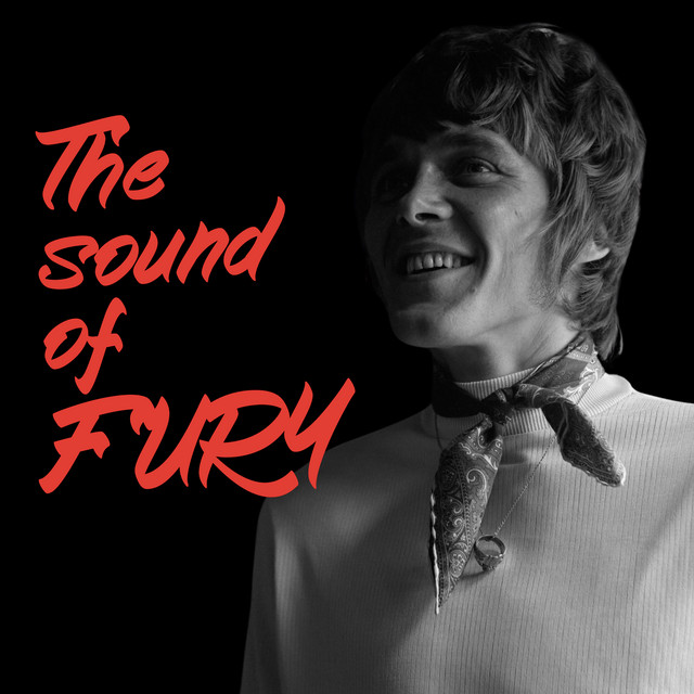 The Sound of Fury cover art