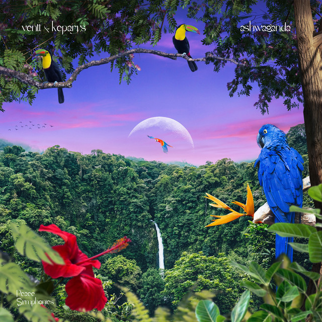 Ashwaganda album art