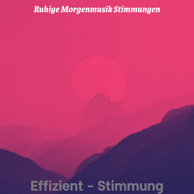 Effizient - Stimmung cover art