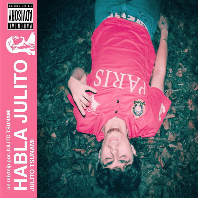 habla julito MIXTEIP cover art