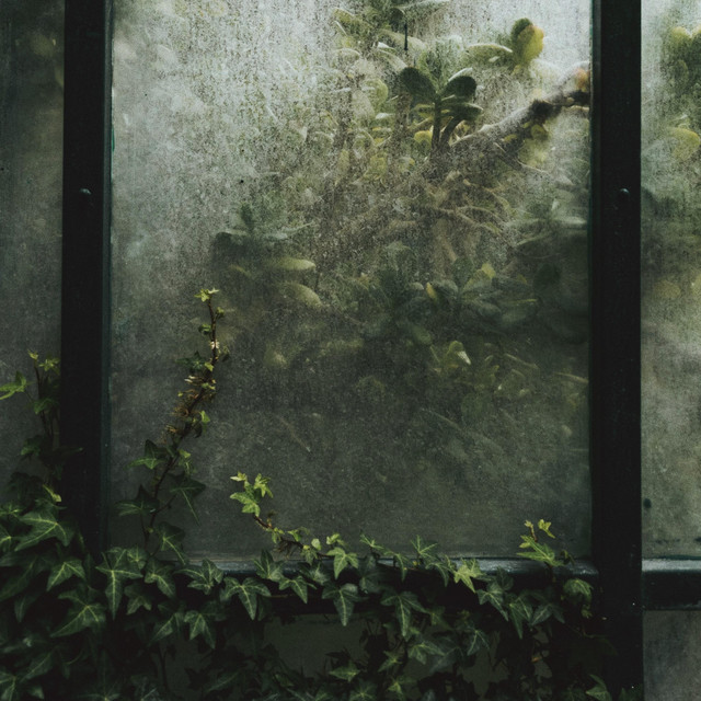 teardrops cover art