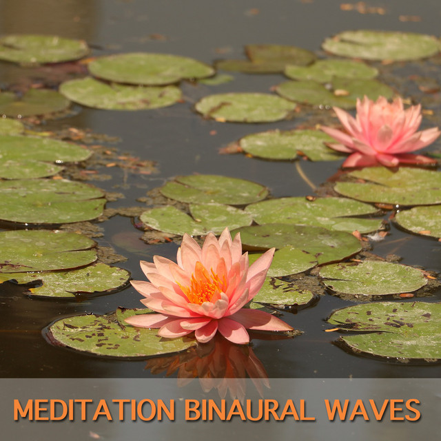 14 Meditation Binaural Waves cover art