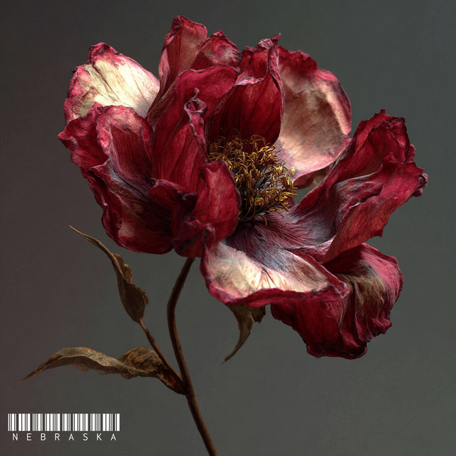 Slow Down album art