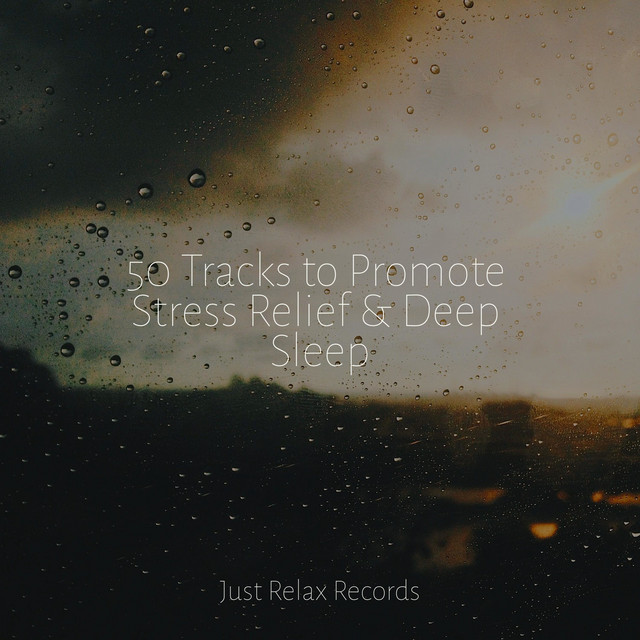 50 Tracks to Promote Stress Relief & Deep Sleep - Album by Study Hard ...