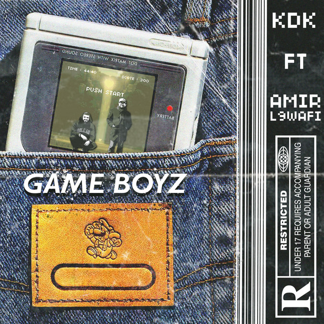 Gameboyz cover art