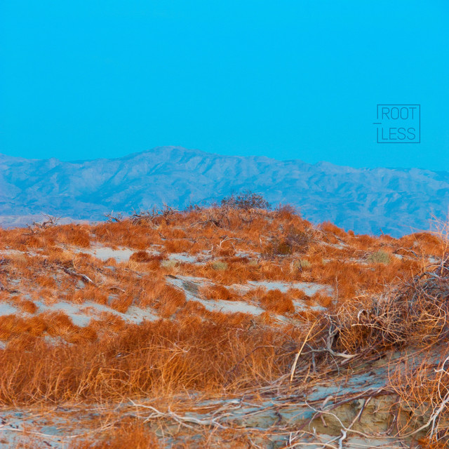 all that's left is a desert cover art
