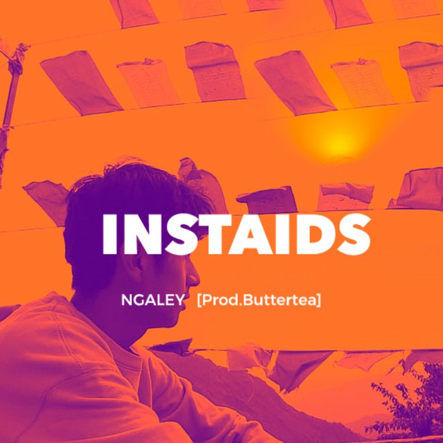 Instaids cover art
