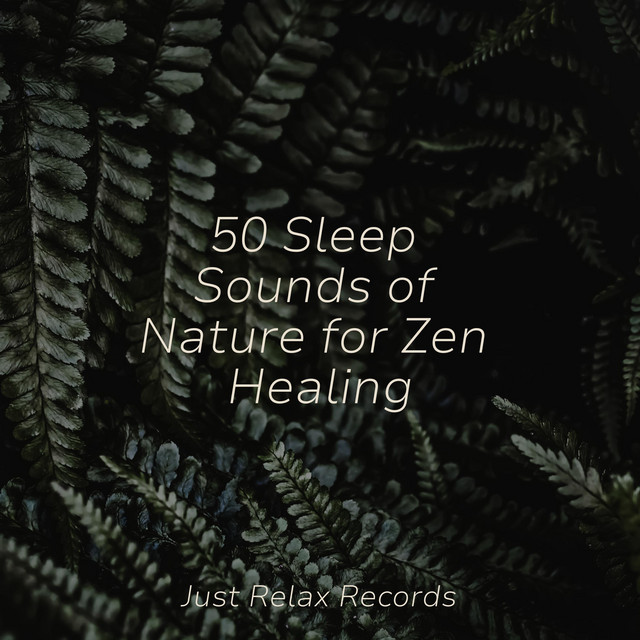 50 Sleep Sounds of Nature for Zen Healing - Album by RelaxMyCat | Spotify