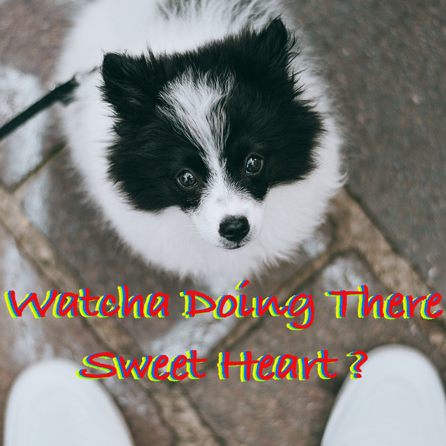 Watcha Doing There Sweet Heart? cover art