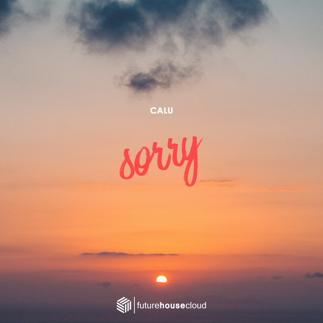 Sorry cover art