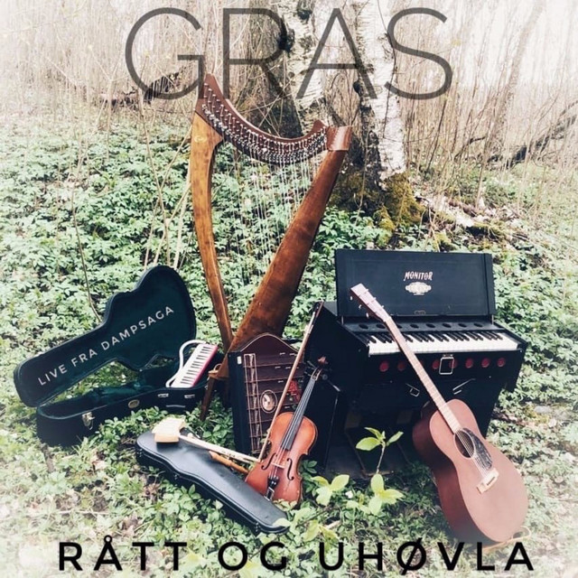 Rått og uhøvla (Live fra Dampsaga) cover art