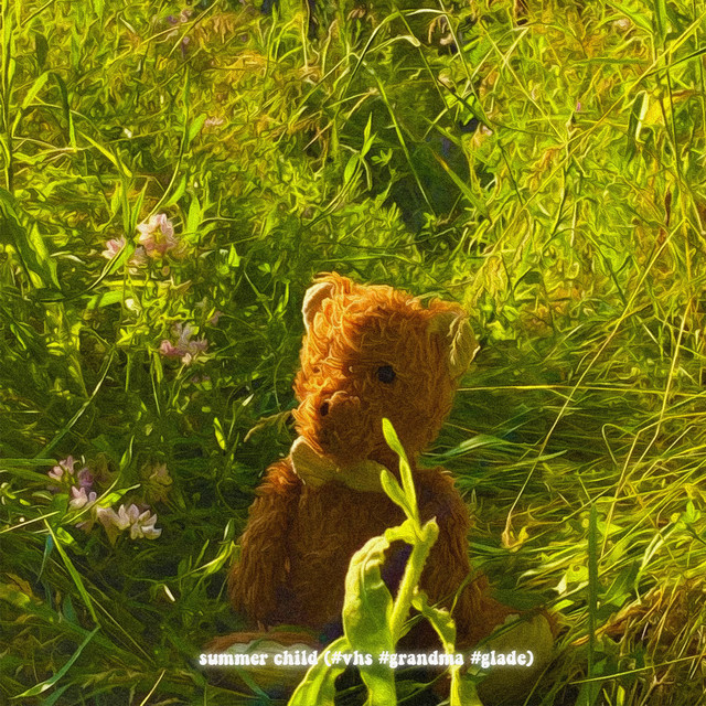 Обкладинка iceleep — Summer Child #Vhs #Grandma #Glade